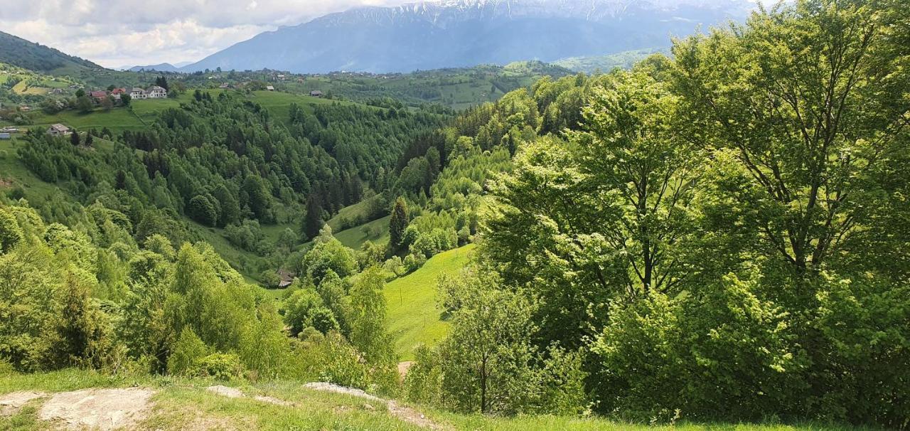 Mosorel Măgura Exterior foto