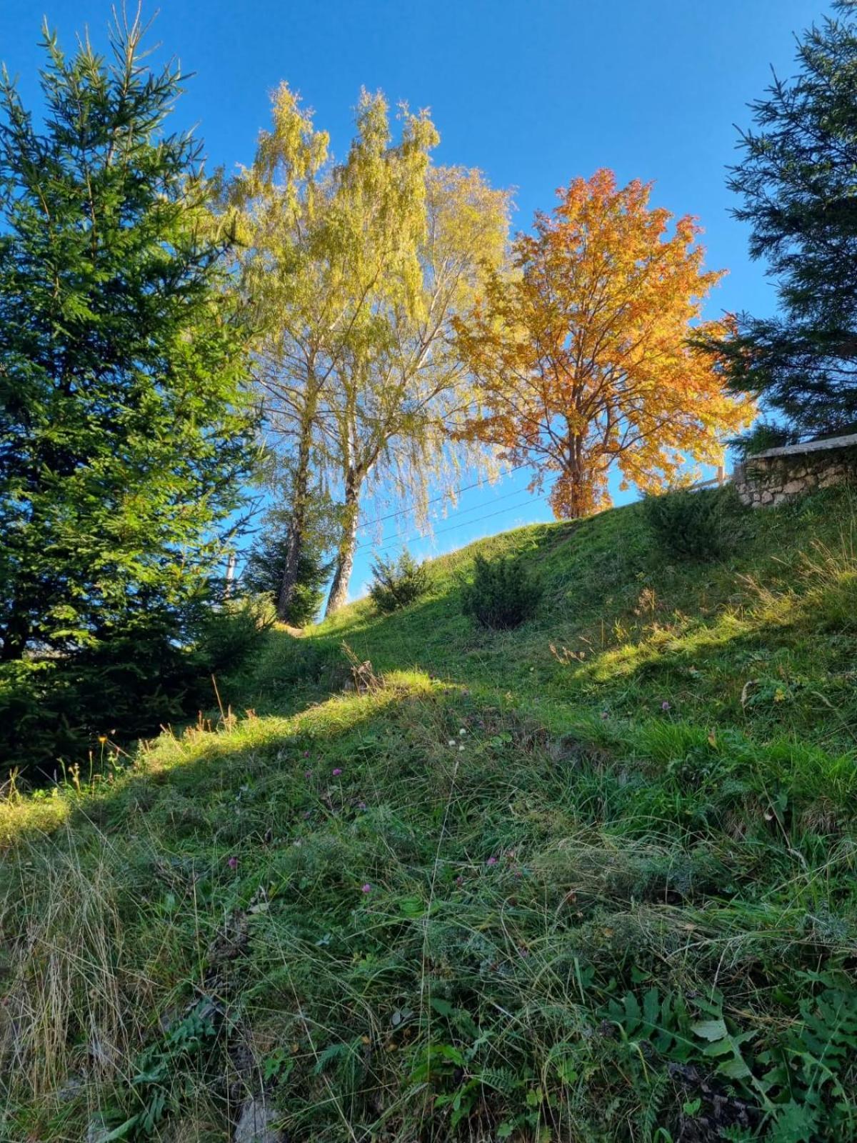Mosorel Măgura Exterior foto