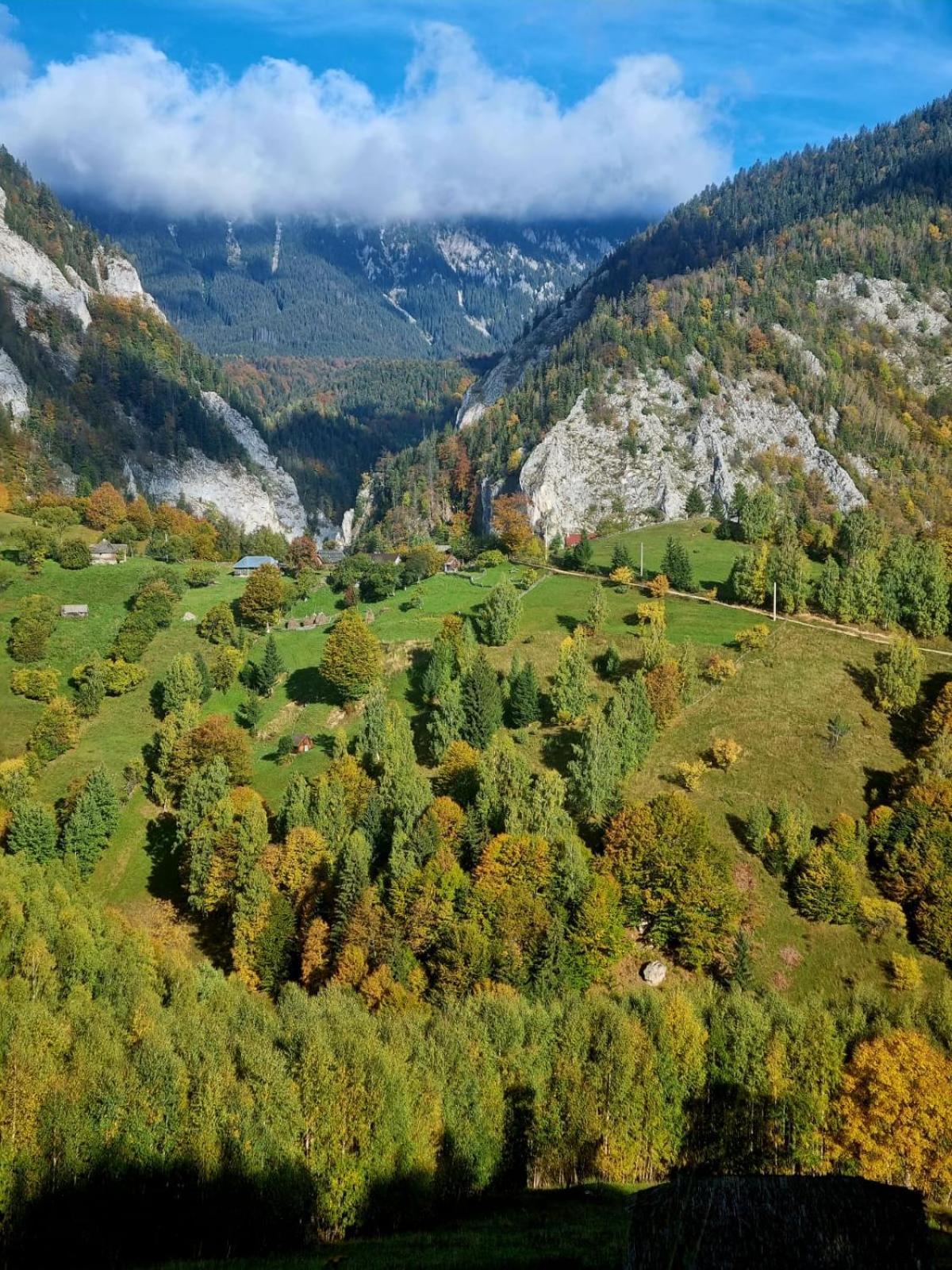 Mosorel Măgura Exterior foto