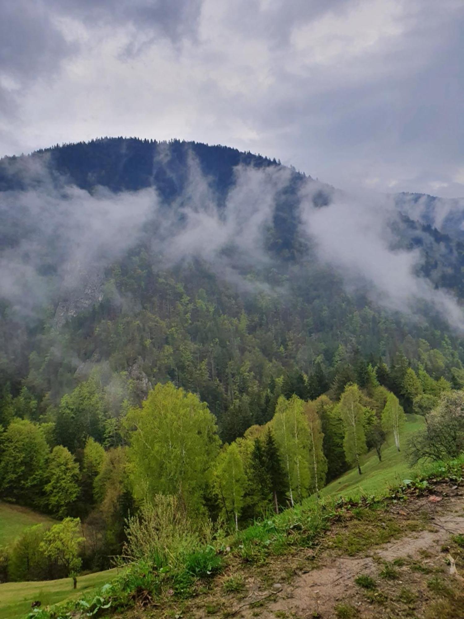 Mosorel Măgura Exterior foto