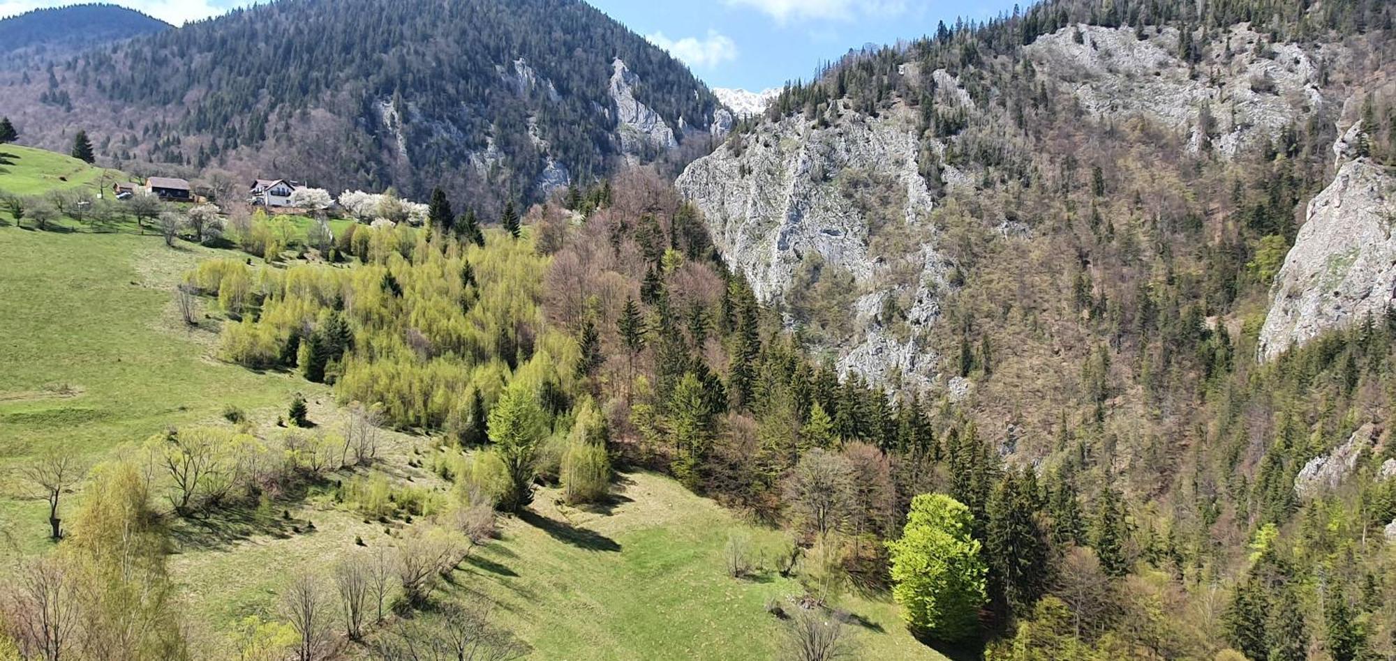 Mosorel Măgura Exterior foto